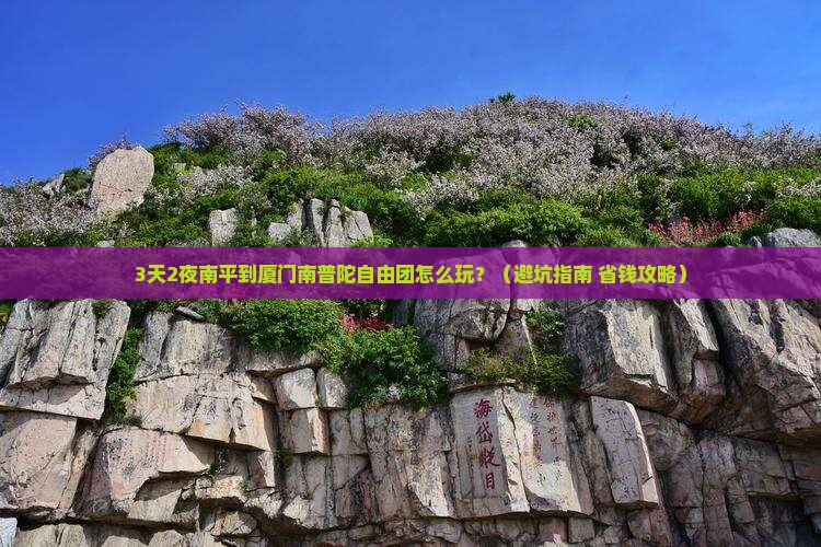 南平到厦门南普陀自由团