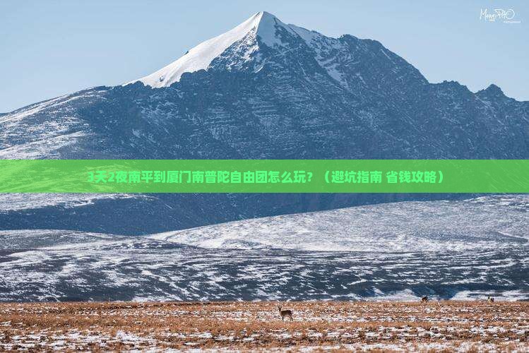 南平到厦门南普陀自由团