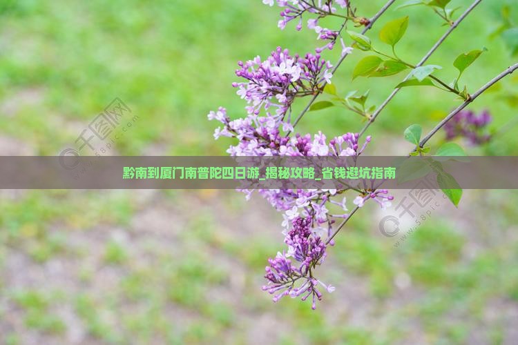 黔南到厦门南普陀四日游