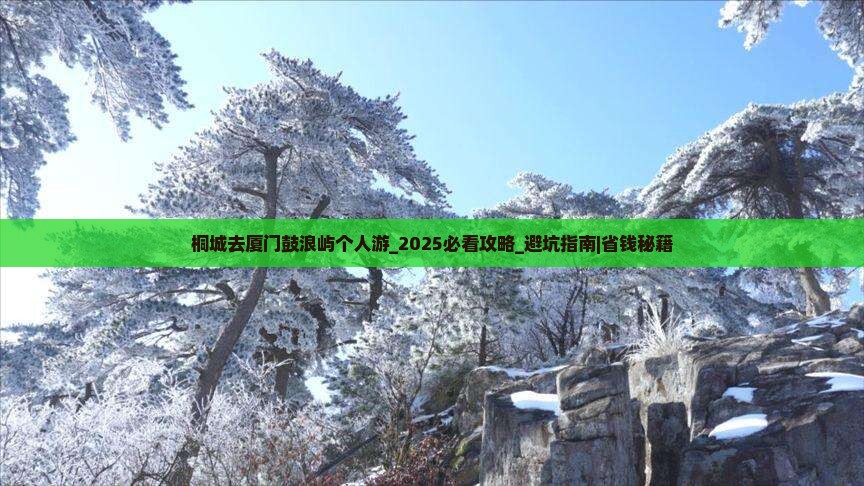桐城去厦门鼓浪屿个人游