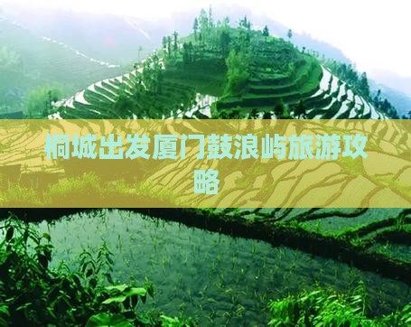 桐城去厦门鼓浪屿攻略