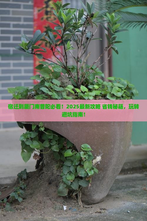 宿迁到厦门南普陀哪里玩