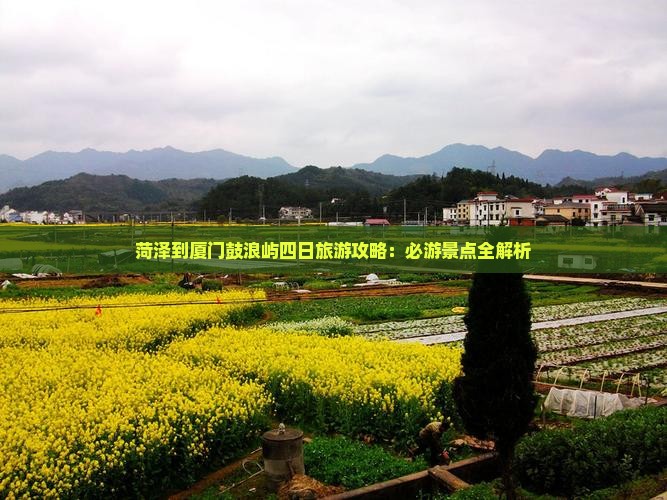 菏泽到厦门鼓浪屿四日游