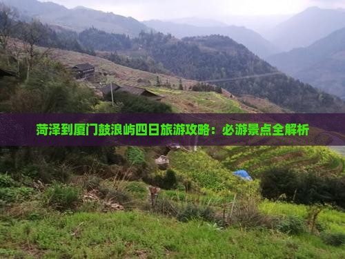 菏泽到厦门鼓浪屿四日游