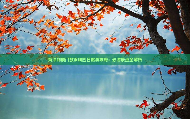菏泽到厦门鼓浪屿四日游