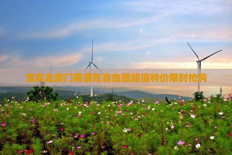 宜宾去厦门南普陀自由团