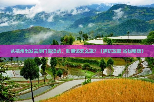 鄂州到厦门鼓浪屿哪里玩