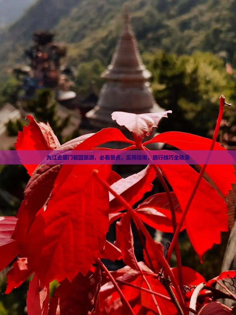 九江去厦门毓园旅游