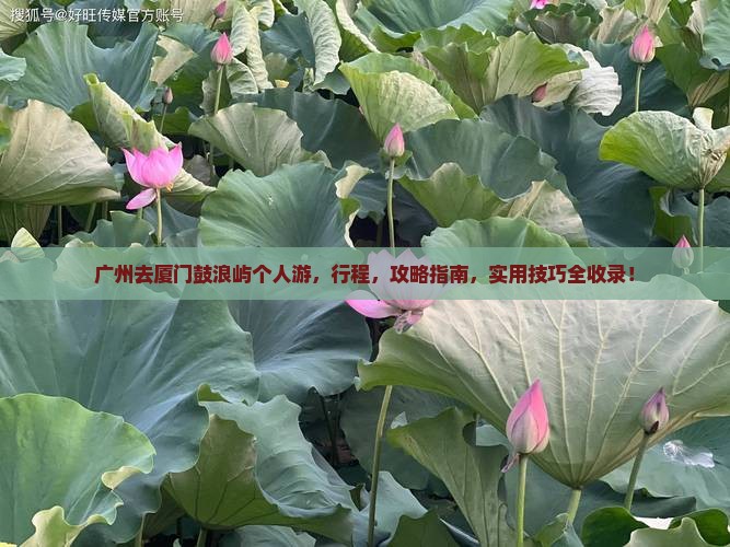 广州去厦门鼓浪屿个人游