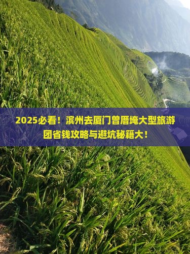 滨州去厦门曾厝埯大型旅游团