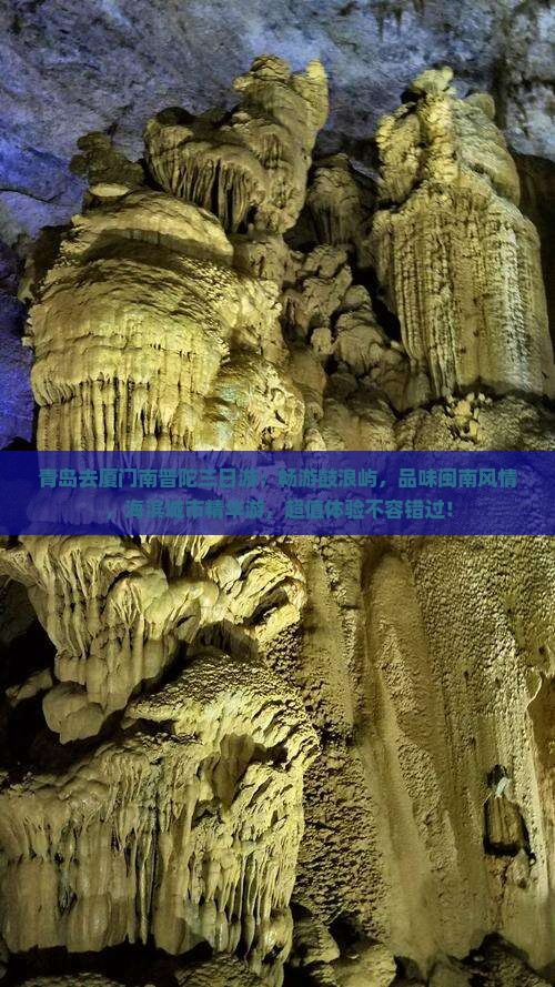 青岛去厦门南普陀三日游