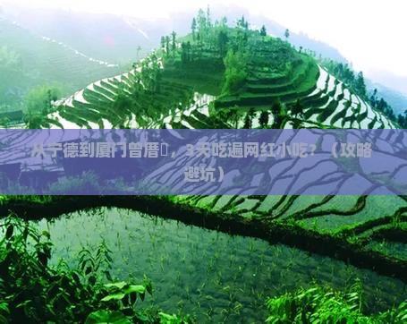 宁德到厦门曾厝埯旅游小吃