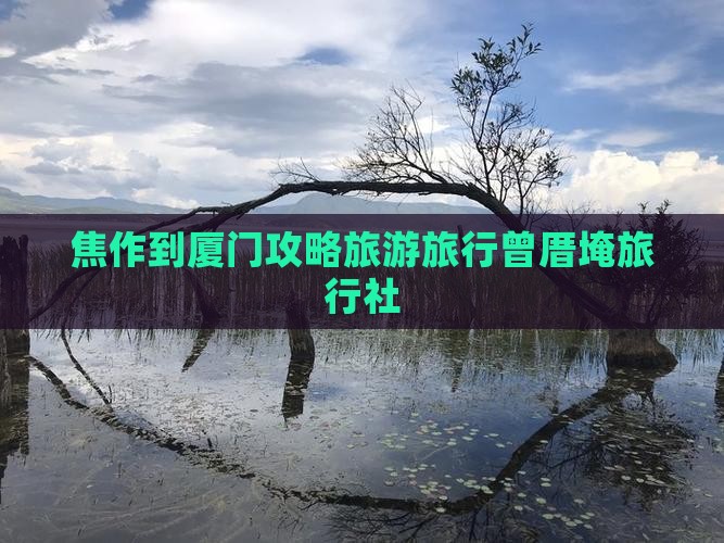 焦作到厦门曾厝埯旅行社