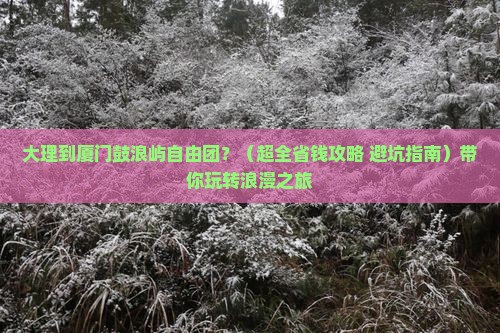 大理到厦门鼓浪屿自由团