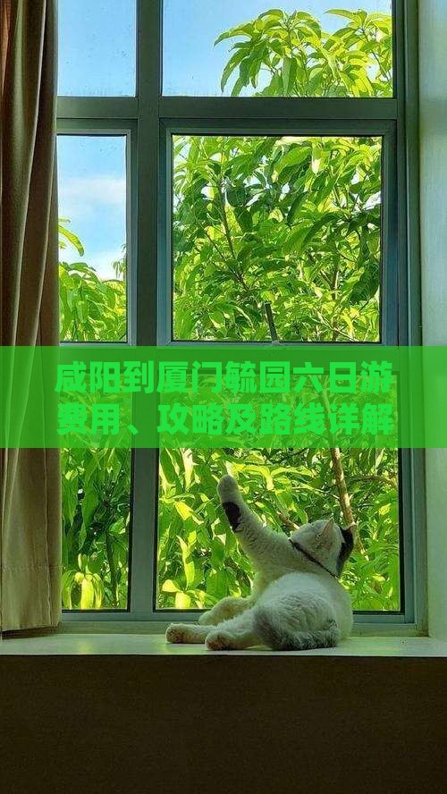 咸阳到厦门毓园六日游 咸阳到厦门毓园六日游