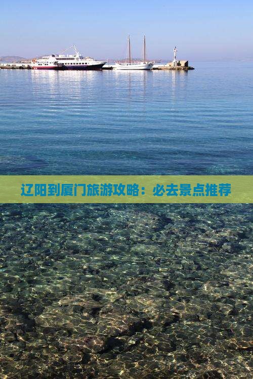 辽阳到厦门一日