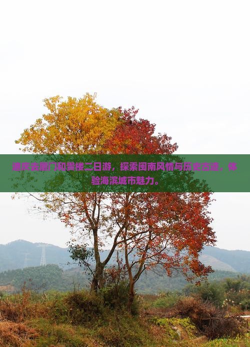 迪庆去厦门和贵楼二日游