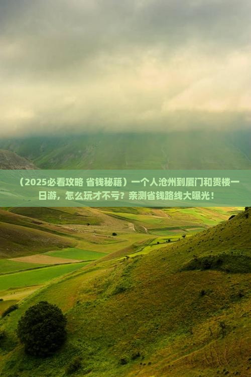 沧州到厦门和贵楼一日