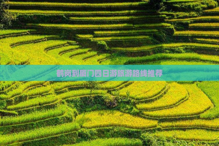 鹤岗去厦门四日游