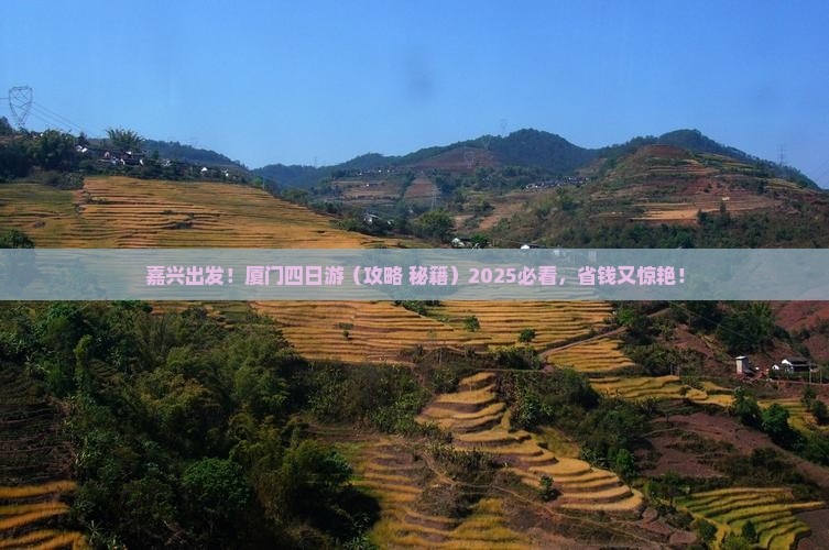嘉兴去厦门四日游