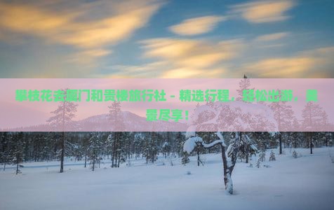 攀枝花去厦门和贵楼旅行社