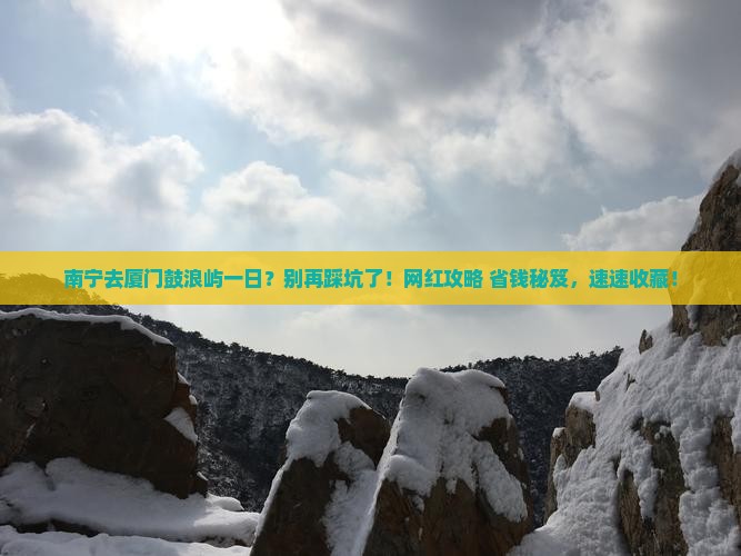南宁去厦门鼓浪屿一日