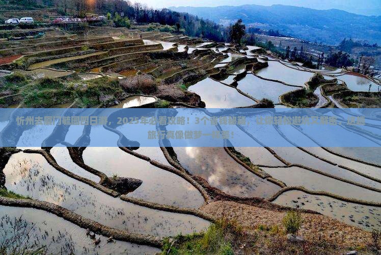 忻州去厦门毓园四日游