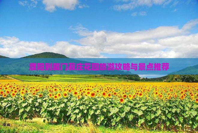 濮阳到厦门菽庄花园景点