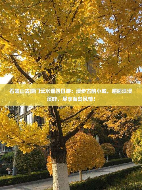 石嘴山去厦门云水谣四日游