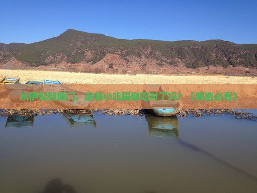 伊犁去厦门旅游小吃
