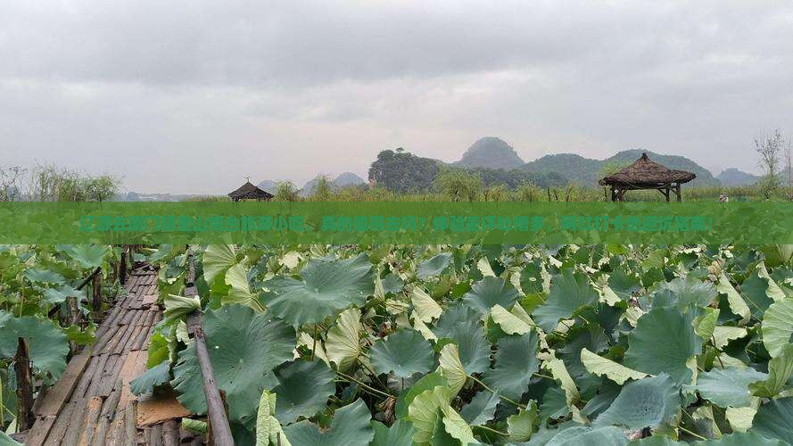 辽源去厦门胡里山炮台旅游小吃
