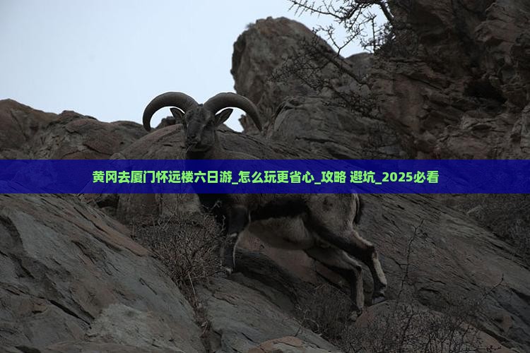 黄冈去厦门怀远楼六日游