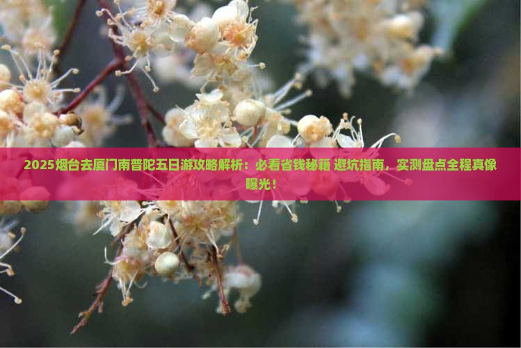 烟台去厦门南普陀五日游