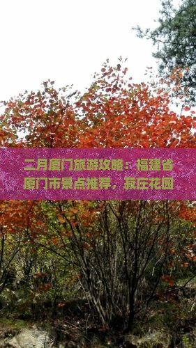 二月到厦门菽庄花园景点