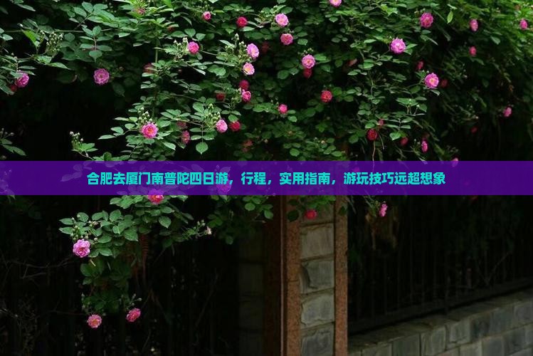 合肥去厦门南普陀四日游