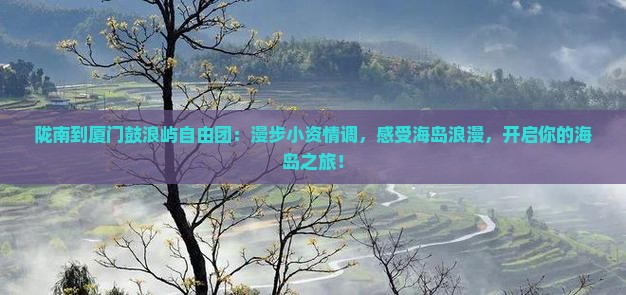 陇南到厦门鼓浪屿自由团