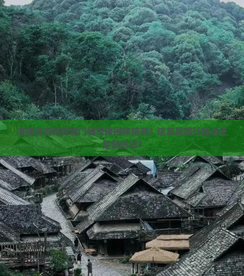 海南省直辖到厦门和贵楼团体旅游