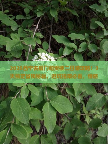 西宁去厦门和贵楼二日游 西宁去厦门和贵楼二日游