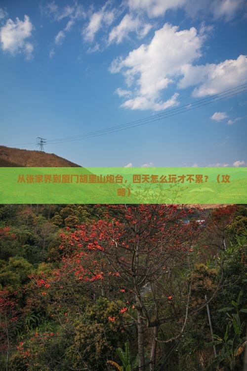 张家界去厦门胡里山炮台四日游