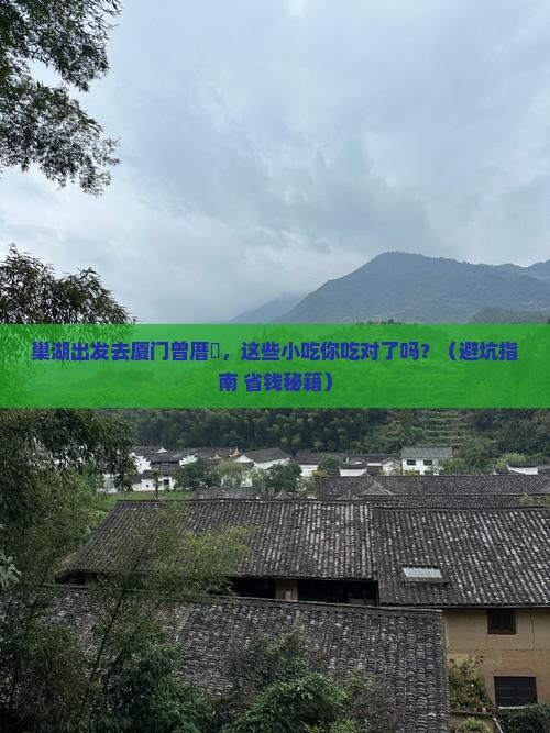巢湖去厦门曾厝埯旅游小吃