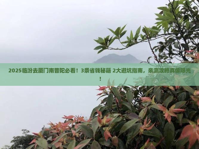 临汾到厦门南普陀攻略