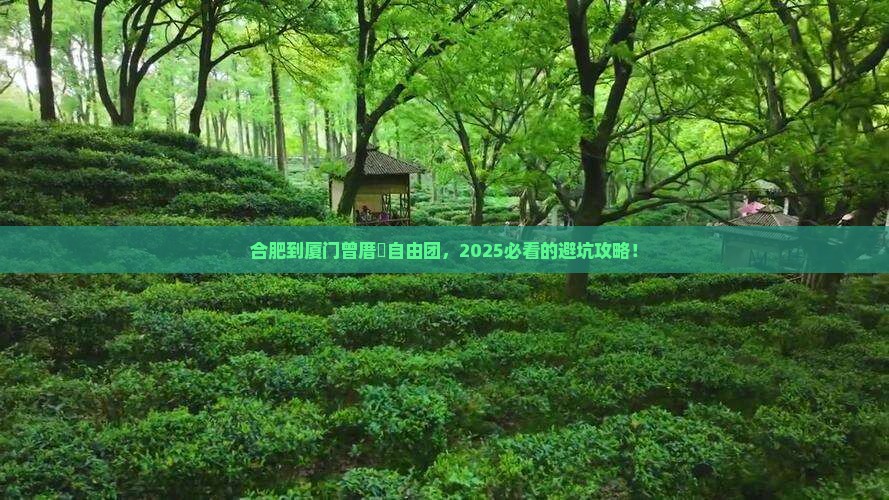 合肥到厦门曾厝埯自由团