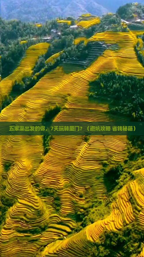 五家渠到厦门七日游