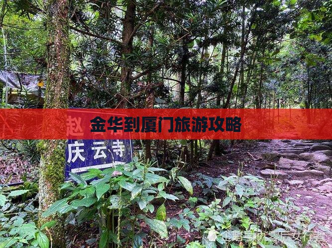金华到厦门团体旅游