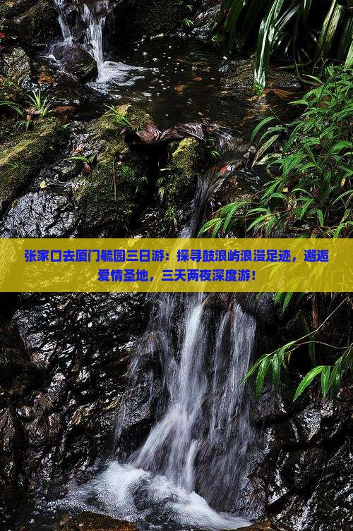 张家口去厦门毓园三日游