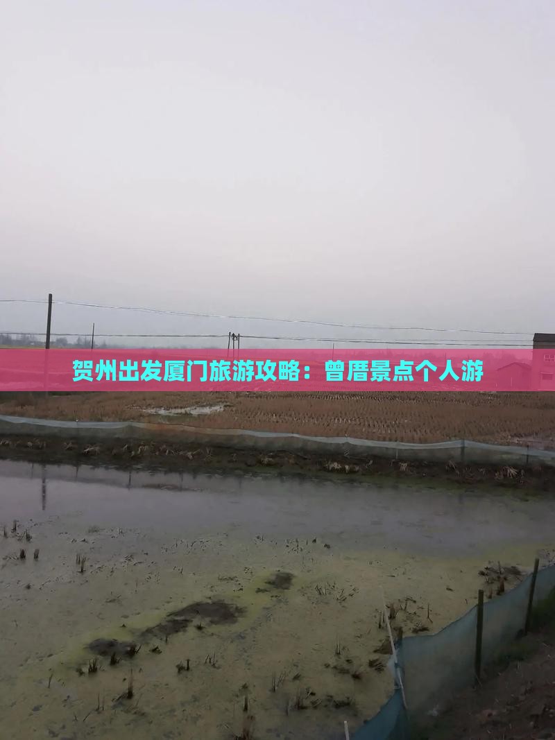 贺州到厦门曾厝埯个人游