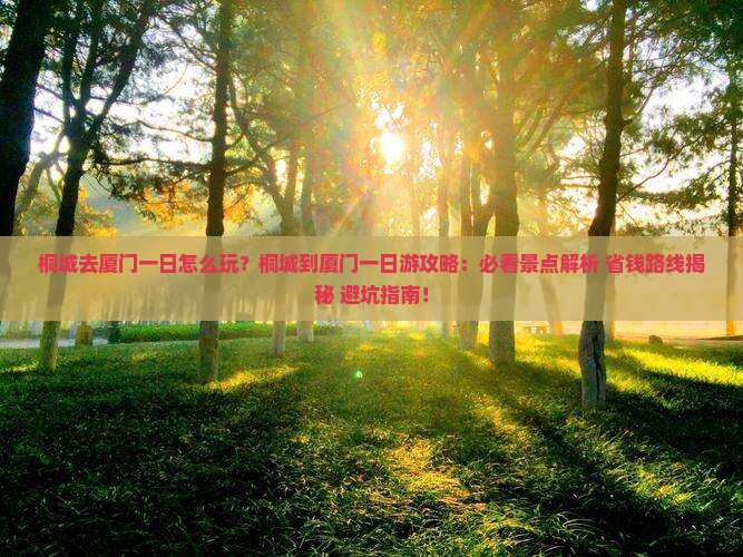 桐城去厦门一日
