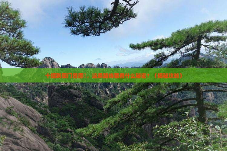 十堰到厦门曾厝埯必去地