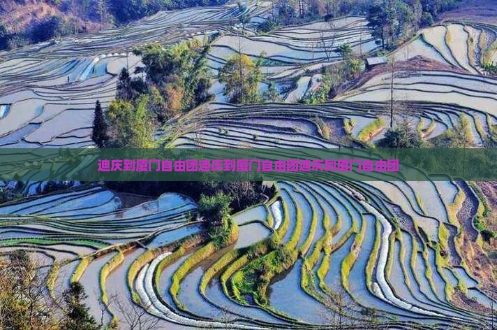 迪庆到厦门自由团