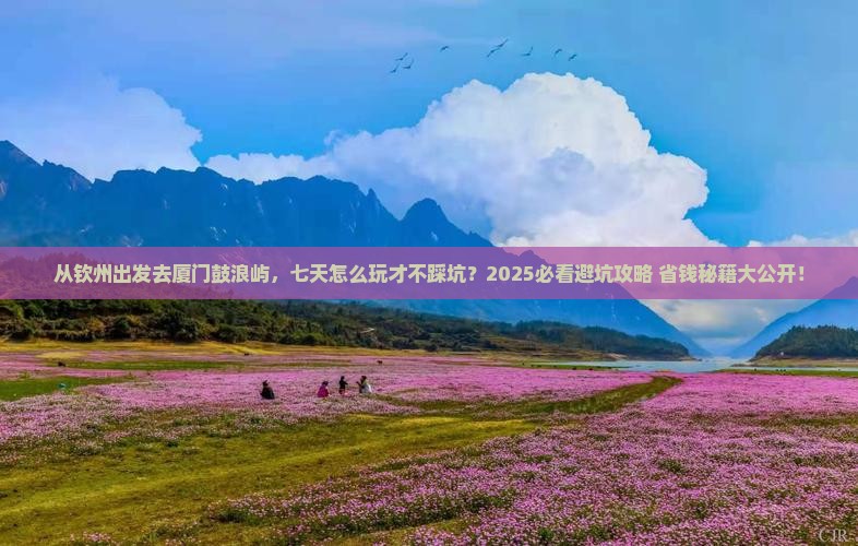 钦州去厦门鼓浪屿七日游